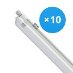 Mehrfachpackung 10x Philips LED Feuchtraumleuchte CoreLine WT120C 42.9W 6000lm - 840  | 150cm Mehrfachpackung 10x Philips LED Feuchtraumleuchte CoreLine WT120C 42.9W 6000lm - 840  | 150cm