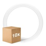 Mehrfachpackung 10x Ledvance LED Röhre T9 Value Rund (EM/Mains) 18.3W 2200lm - 840 Kaltweiß | Ersatz Für 32W Mehrfachpackung 10x Ledvance LED Röhre T9 Value Rund (EM/Mains) 18.3W 2200lm - 840 Kaltweiß | Ersatz Für 32W