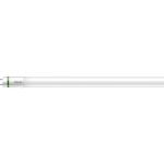 Philips MASTER LED Tube T8 (EM/Mains) Ultra Efficiency 11.9W 2500lm - 865 Tageslichtweiß | 120cm - Ersatz Für 36W Philips MASTER LED Tube T8 (EM/Mains) Ultra Efficiency 11.9W 2500lm - 865 Tageslichtweiß | 120cm - Ersatz Für 36W