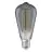 Ledvance Vintage 1906 LED E27 Edison Smoke 11W 500lm - 818  | Dimmbar - Ersatz Für 42W