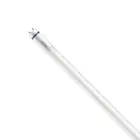 Philips MASTER LED T8 Conventional (EM), Mains (AC) High Output T8 7.6W 1150lm - 840 Kaltweiß | 60cm - Ersatz Für 18W