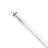 Philips MASTER LED T8 Conventional (EM), Mains (AC) High Output T8 16.7W 3100lm - 865 Lumière Du Jour | 150cm - Remplacement 58W