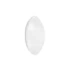 Ledvance Surface circulaire 250 13W 830 920lm Blanc IP44