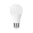 Classic Pro LED E27 Poire Dépolie 12.5W 1521lm - 840  | Remplacement 100W